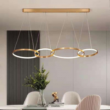 Đèn LED nhập khẩu trang trí nội thất hiện đại DL 021