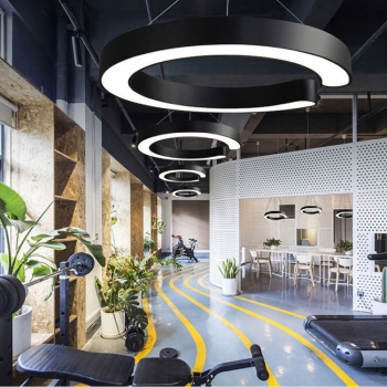 Đèn LED vòng trang trí nội thất sang trọng DL 038